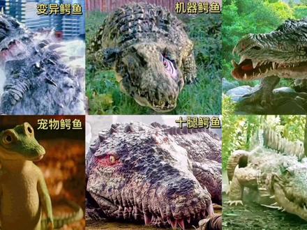 海洋动物视频大全海底世界 41c22a59007601b5d76e97f01b6d4732~tplv-dy-resize-origshort-autoq-75:330.jpeg?biz_tag=pcweb_cover&from=3213915784&s=PackSourceEnum_AWEME_DETAIL&sc=cover&se=false&x-expires=2007090000&x-signature=Cw%2Fs3Iatf3d6ZEoKmKYuNNzhnKA%3D