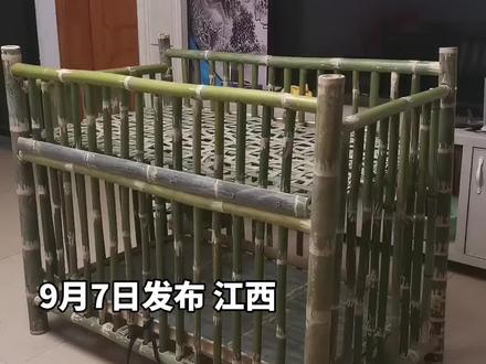 自贴地砖效果图 455193c42fd2b4b941fa449c3ba1e4d4~tplv-dy-resize-origshort-autoq-75:330.jpeg?biz_tag=pcweb_cover&from=3213915784&s=PackSourceEnum_AWEME_DETAIL&sc=cover&se=false&x-expires=2009458800&x-signature=lr0OaotZ%2FfFijEL%2B7icNTuYqAhE%3D