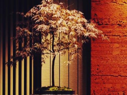 最简单的冥想教程 5e4c37266f78e993ec84e1399431be64~tplv-dy-resize-origshort-autoq-75:330.jpeg?biz_tag=pcweb_cover&from=3213915784&s=PackSourceEnum_AWEME_DETAIL&sc=cover&se=false&x-expires=2007698400&x-signature=uaMzqk6sGn0CMJ2I7Y2nrMcZHuA%3D