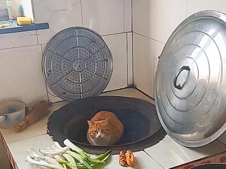 傲怎么写好看图片 aedd18fadeb7c94bacdecc11376e2d34~tplv-dy-resize-origshort-autoq-75:330.jpeg?biz_tag=pcweb_cover&from=3213915784&s=PackSourceEnum_AWEME_DETAIL&sc=cover&se=false&x-expires=2005426800&x-signature=7uR2a26Wek1znrlGe0F7ZNu79zM%3D