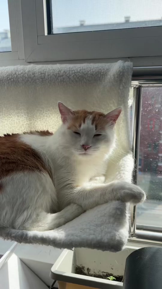 0fca4425acd44eb8a55ea55b8ee288ba_1702012449?from=876277922&x-expires=2017461600&x-signature=p7%2BhOKSChyfsl2sg0wx9pjaf4WU%3D