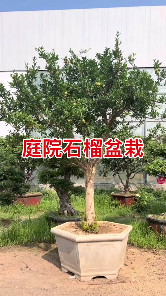 292482b66add419e807e08c1245150a3_1655865035?from=876277922&x-expires=2016759600&x-signature=2l8n%2FeXmN%2Fzfw5WsOQT%2FkB0isWY%3D