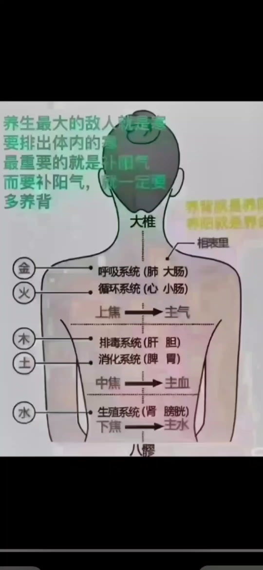 366d14b512b449758ad6395ee51db6b5_1698713271?from=876277922&x-expires=2015319600&x-signature=GNvoVppXNTmAjCYBXKzjtYnhRvA%3D