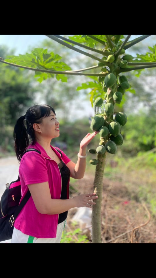 6cf5098d2d3b404a8ef452468775d546_1699139912?from=876277922&x-expires=2015938800&x-signature=A2eUFIoRVbwHBnd2aqXz5L1NmnQ%3D