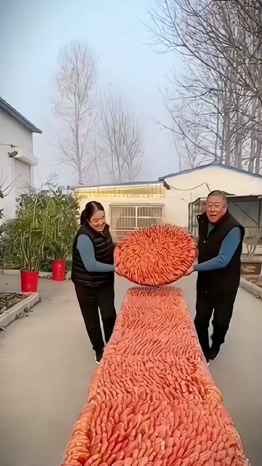 72b638e98ca642c49443370c5ab4164c_1701467659?from=876277922&x-expires=2016939600&x-signature=O9Wbw5s3j1N13mpkKxwsSGwgaWc%3D