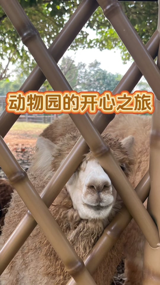 8c353b4d4027489181c193e858d25e89_1699231177?from=876277922&x-expires=2015470800&x-signature=uaBZ4fcD%2FGR0L7zwmCIA%2BkniaOI%3D