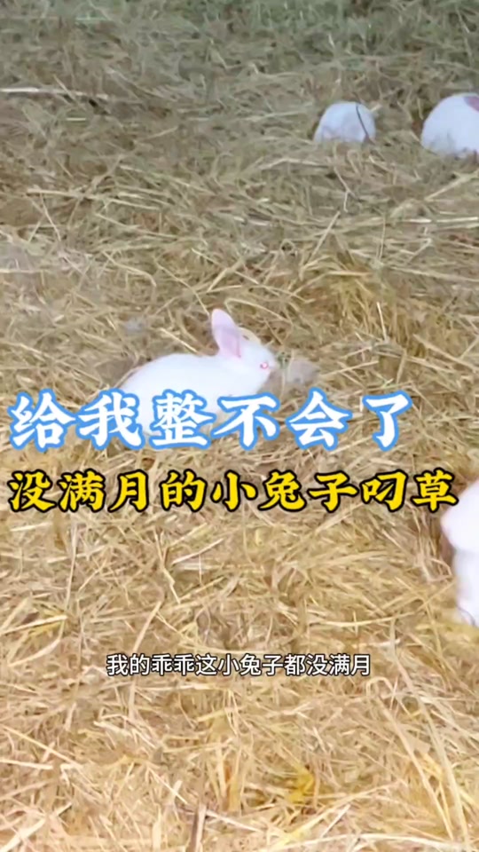 99488eede0d348e7ad3357d4b919c4fa_1698203190?from=876277922&x-expires=2014722000&x-signature=aMI%2Fag%2FQqPWHjZDE%2FRDLQ1pwtjU%3D