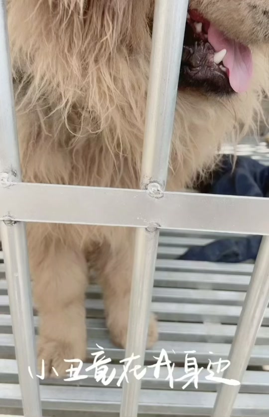 ba9a4d0871be41708b5c06408f74106f_1620284508?from=876277922&x-expires=2017396800&x-signature=F%2Fx7T4Hj2eh%2BfXB%2FcYQoYEOsQdQ%3D