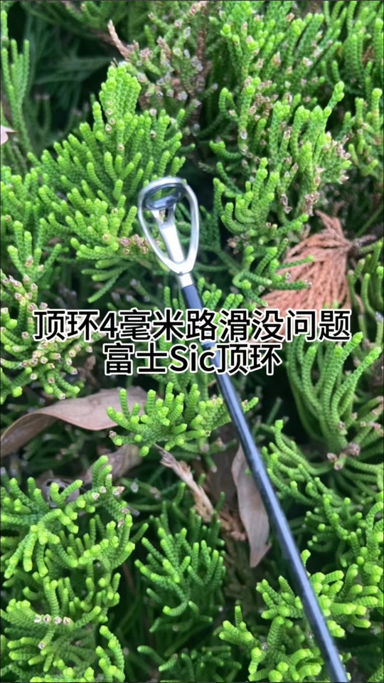 c2998480294046a0af920f8ae2f9de01_1701163768?from=876277922&x-expires=2017274400&x-signature=e%2FckfXh9tvIfFkRvaz2CjA0RkGE%3D