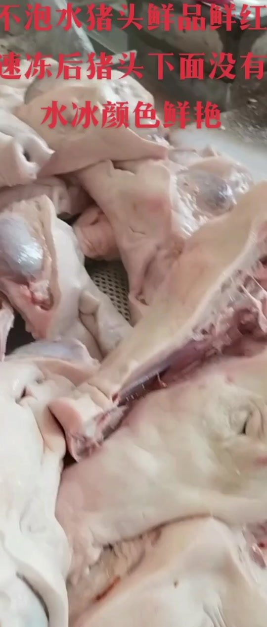 c4388efacd6144409411a279f02572b0_1701904165?from=876277922&x-expires=2017425600&x-signature=aCq%2FsKKWmHJEEPVezZs2WFkj4qU%3D