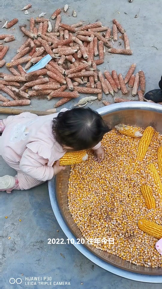 e3a88681f32c484aa1d6a825ba035801_1697739027?from=876277922&x-expires=2015550000&x-signature=9u7lxiXSvZrbKQvVnJpKVb03TuY%3D