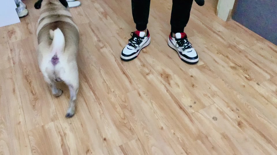 e3d54ce673534ed0af86c4faf495faae_1700034612?from=876277922&x-expires=2015600400&x-signature=dmfgP9ALHLMTlNuc6lXlRzAhGpk%3D