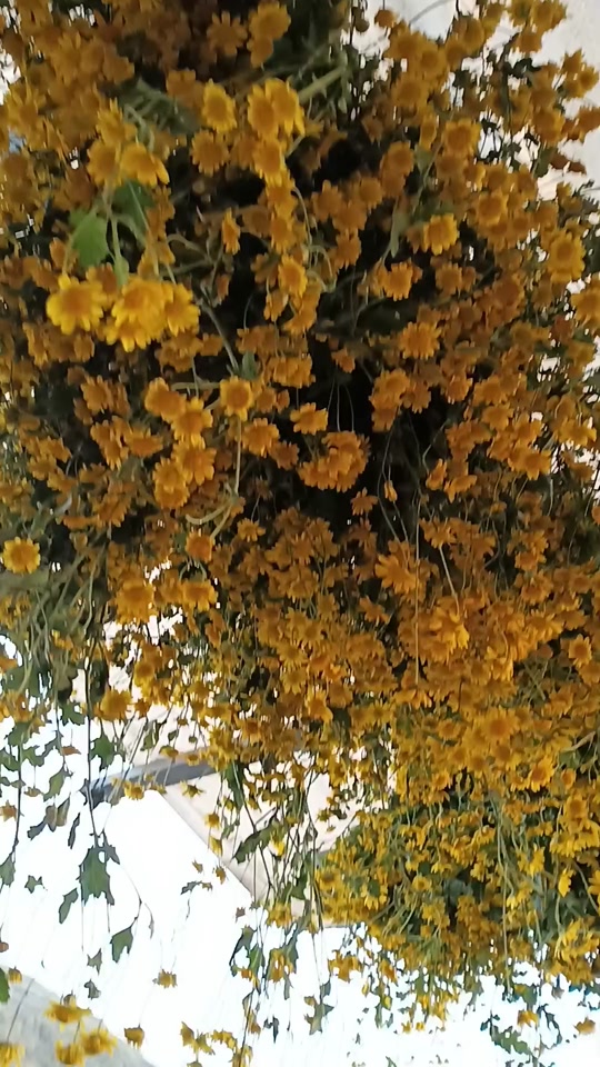 o0nGcSbhCvfJl86ArHfBAONjDXAAmI1g9Ap3dJ?from=876277922&x-expires=2017429200&x-signature=9cXhoeoet0WZv7A7oWNJpH%2BDSTY%3D