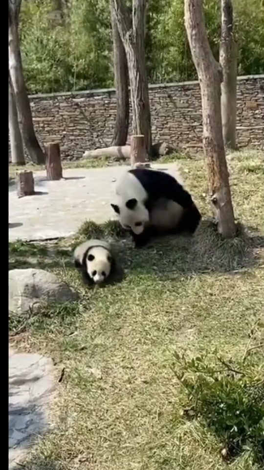 oQIQACAAeQRqAgzyVfdwt3ZQ8DMA3hFgN5C3B2?from=876277922&x-expires=2017249200&x-signature=3pbNcC5TFdJJMh8dGrd1M5ntp8A%3D