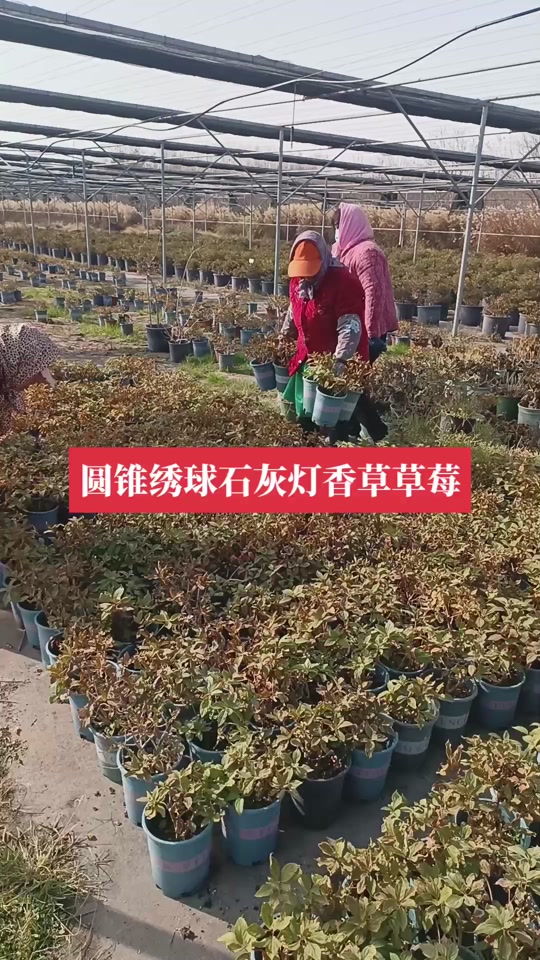 oo0idA3BuNDINhAyRrftABgKrznub3INejzJAx?from=876277922&x-expires=2016108000&x-signature=Sa9b%2FfAp%2BRHm77TnNbZ9MfZ%2B1qE%3D