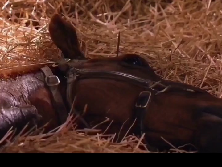 oo1e4ABAI39NZT6mAbdEXA7flnutSnllVADgAA?from=876277922&x-expires=2017461600&x-signature=RMwYMFzsH4oVvMZ7xFfAlaNAYow%3D