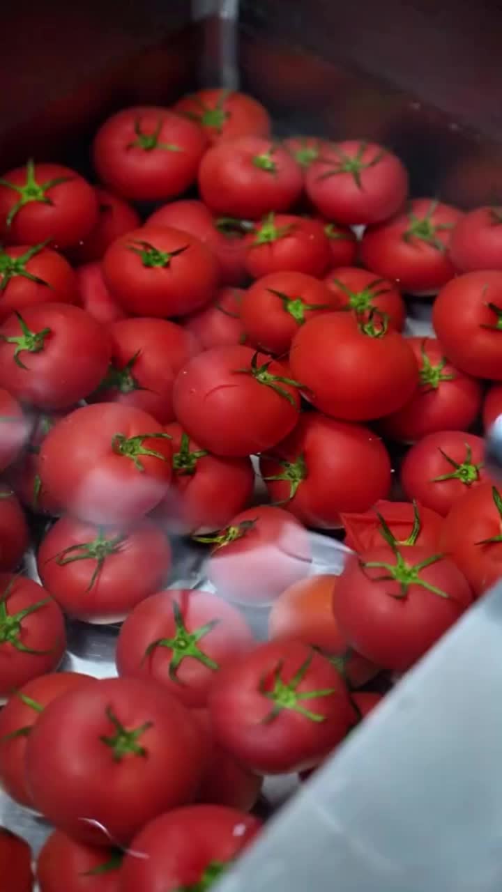 oEVyzXAMEDke6EsAFXlDcniBXIh3Dx9bgASelN?from=876277922&x-expires=2015946000&x-signature=5X5gq%2F0WaIGg9JrBLmqa3ebq54I%3D