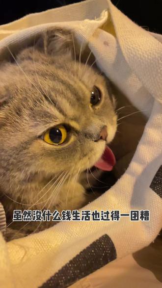 现在怎么去商丘 0847910b9dc848c691657997ff9e987f_1695030990~tplv-dy-resize-origshort-autoq-75:330.jpeg?biz_tag=pcweb_cover&from=3213915784&s=PackSourceEnum_AWEME_DETAIL&sc=cover&se=false&x-expires=2010438000&x-signature=iP30p7xrQ7O5CUvgEsQwalVgIuI%3D