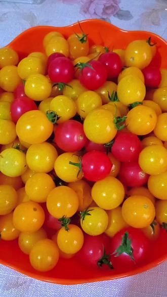 苹果怎么做好喝的饮料 1095f3b3383f4d8790a347ab84989045_1693789725~tplv-dy-resize-origshort-autoq-75:330.jpeg?biz_tag=pcweb_cover&from=3213915784&s=PackSourceEnum_AWEME_DETAIL&sc=cover&se=false&x-expires=2010924000&x-signature=b5LjVaZc4cTGpC5I50r6m3wpkfw%3D