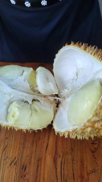 水烧伤怎么处理好得快点 17c54261b644470fb0315d20facc9f07_1694661927~tplv-dy-resize-origshort-autoq-75:330.jpeg?biz_tag=pcweb_cover&from=3213915784&s=PackSourceEnum_AWEME_DETAIL&sc=cover&se=false&x-expires=2010499200&x-signature=yd%2BAfJnNYFtJuRFwpdv5xXsqVn4%3D