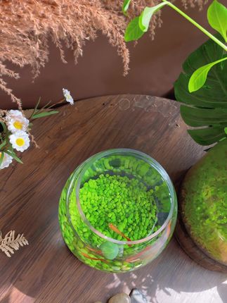 蜜蜂惊喜社直播预告54 2701f8d986554b20a5c10eeb586f78ff_1663283631~tplv-dy-cropcenter:323:430.jpeg?biz_tag=pcweb_cover&from=3213915784&s=PackSourceEnum_PUBLISH&sc=cover&se=true&sh=323_430&x-expires=1991188800&x-signature=4oflV3D8Dwb5p5IzY88jWzgIKWw%3D