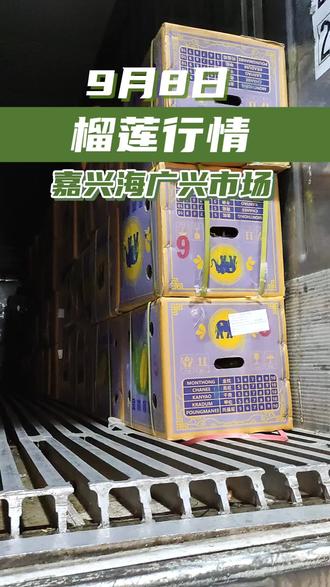 国内市场行情走势 299bcf24c4c9452395df1c0af66a004e~tplv-dy-resize-origshort-autoq-75:330.jpeg?biz_tag=pcweb_cover&from=3213915784&s=PackSourceEnum_AWEME_DETAIL&sc=cover&se=false&x-expires=2008393200&x-signature=mPmvwRmD2hyF3pv4DkVazQ6pt3w%3D