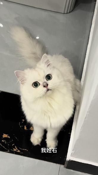 通用是干什么的 66dfeda2f26a497584973edc0f1d8b4e_1693297486~tplv-dy-resize-origshort-autoq-75:330.jpeg?biz_tag=pcweb_cover&from=3213915784&s=PackSourceEnum_AWEME_DETAIL&sc=cover&se=false&x-expires=2008735200&x-signature=9dl42mZBgMzSzTM3K8%2BefEtVP28%3D