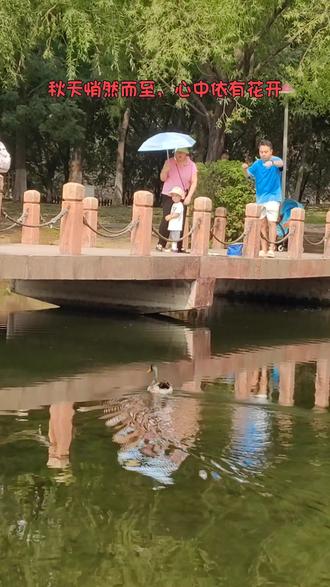 蜜蜂几天进粉 9608a07a0f5e4d4f81c44dd82ffbc3c3_1695072425~tplv-dy-resize-origshort-autoq-75:330.jpeg?biz_tag=pcweb_cover&from=3213915784&s=PackSourceEnum_AWEME_DETAIL&sc=cover&se=false&x-expires=2010481200&x-signature=Pci3dZs4fP47ABMa5Qe%2BXnLmTgQ%3D