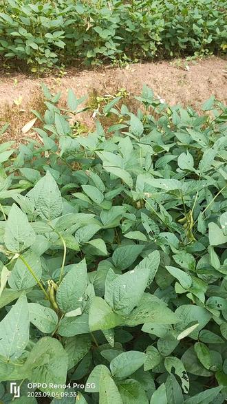 今日新闻联播7:00到7:30内容 a9e67490ddd34c6c873d69f56cbb8b83_1693975374~tplv-dy-resize-origshort-autoq-75:330.jpeg?biz_tag=pcweb_cover&from=3213915784&s=PackSourceEnum_AWEME_DETAIL&sc=cover&se=false&x-expires=2010027600&x-signature=pBEqAK8%2Bakdlb%2BcqMzgpN6ftlvA%3D