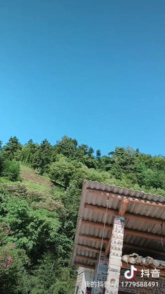 草莓是什么季节生长出来的 cb567e304f81436f819f5a8e9ff2fd74_1693881848~tplv-dy-resize-origshort-autoq-75:330.jpeg?biz_tag=pcweb_cover&from=3213915784&s=PackSourceEnum_AWEME_DETAIL&sc=cover&se=false&x-expires=2009318400&x-signature=BD05YNNq%2F8HAzzEHM%2FOiSUMLikI%3D