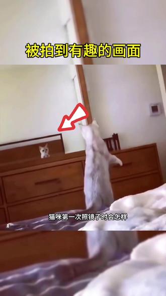 今日新闻最新事件全球 d6db159b3ec248428fa52f0c0978318c_1692077957~tplv-dy-resize-origshort-autoq-75:330.jpeg?biz_tag=pcweb_cover&from=3213915784&s=PackSourceEnum_AWEME_DETAIL&sc=cover&se=false&x-expires=2007676800&x-signature=5Jx3gvS2GIjUQnNOQDODwdT3CKY%3D