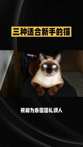 怎么判断油是否过期 dda73fcb6c5948d19fbecaa333a67ce1_1694064410~tplv-dy-resize-origshort-autoq-75:330.jpeg?biz_tag=pcweb_cover&from=3213915784&s=PackSourceEnum_AWEME_DETAIL&sc=cover&se=false&x-expires=2009466000&x-signature=t28pdMOsqequxBzi4iMaWVn6nk0%3D