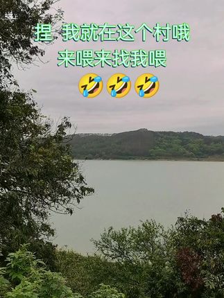 ip地址显示功能怎么搞的 e4567b73a5c8472284f48ef67333c24f_1679717381~tplv-dy-cropcenter:323:430.jpeg?biz_tag=pcweb_cover&from=3213915784&s=PackSourceEnum_PUBLISH&sc=cover&se=true&sh=323_430&x-expires=1995544800&x-signature=JFS1HxkLVgbx%2BHgV8r6MCrHmP8w%3D