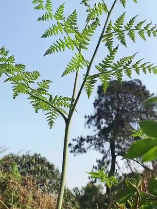 妙法莲华经全文 f8d6e413637e4cb49c83585185fab681_1659243076~tplv-dy-cropcenter:323:430.jpeg?x-expires=1975489200&x-signature=LfBTW%2FrLKuhagbhuRNzuqE48u4g%3D&from=4257465056&s=PackSourceEnum_PUBLISH&se=true&sh=323_430&sc=cover&biz_tag=pcweb_cover&l=021660132362813fdbddc0100fff0030ace34d00000003e188709