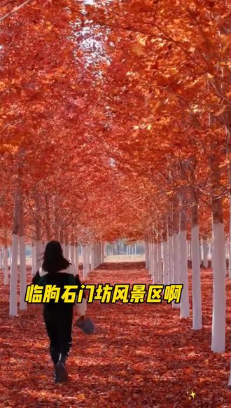 如何上热门 话题技巧 o0Q4aEfA9QvAHNcbZZIFuRnlD2KeDAzHBgcA5K~tplv-dy-resize-origshort-autoq-75:330.jpeg?biz_tag=pcweb_cover&from=3213915784&s=PackSourceEnum_AWEME_DETAIL&sc=cover&se=false&x-expires=2012544000&x-signature=Y218wFiryh3xWZvElX6CYl5dS8I%3D