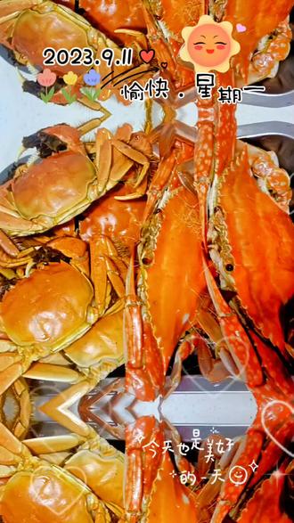 蒸汽挂烫机使用视频 oAzcI6YfgQfVZJPPeKRwnegUfQlAyc2fxJxbgA~tplv-dy-resize-origshort-autoq-75:330.jpeg?biz_tag=pcweb_cover&from=3213915784&s=PackSourceEnum_AWEME_DETAIL&sc=cover&se=false&x-expires=2012270400&x-signature=7vD48fwiL1VhERmjj9td2v4yy7I%3D