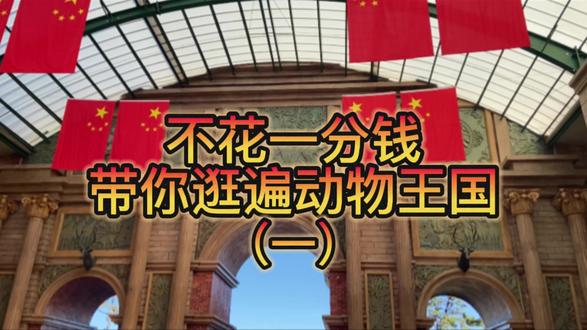 海洋动物视频儿童 oERDReWEIVXBEnRCyHcnbBA7bXAeI5fAiZ2KQj~tplv-dy-resize-origshort-autoq-75:330.jpeg?biz_tag=pcweb_cover&from=3213915784&s=PackSourceEnum_AWEME_DETAIL&sc=cover&se=false&x-expires=2012540400&x-signature=BdLdTqY29mY4Vys7nhJ2dVEPLAc%3D