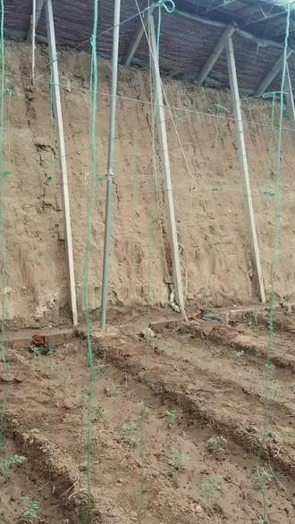 怕字的书法 oEnlADDDrQNC7eeAYCMbYCzypXR0B9gyXlI5AA~tplv-dy-resize-origshort-autoq-75:330.jpeg?biz_tag=pcweb_cover&from=3213915784&s=PackSourceEnum_AWEME_DETAIL&sc=cover&se=false&x-expires=2010686400&x-signature=9jrCpIgsuB0pgJhHOB16zUQQdsI%3D