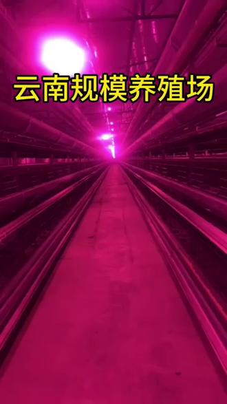 真正永久免费的云游戏 oEz7M8tmBURnyfGAZMNBA7CPhhIA8EigeEMdOC~tplv-dy-resize-origshort-autoq-75:330.jpeg?biz_tag=pcweb_cover&from=3213915784&s=PackSourceEnum_AWEME_DETAIL&sc=cover&se=false&x-expires=2010722400&x-signature=zEDFhJVvZIE2QTmTyBri9NkDqJI%3D