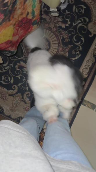 网易有道词典笔怎么登陆 oI75Nen99AAK0IW3VTDEAzBAvBegQKKrElbPVs~tplv-dy-resize-origshort-autoq-75:330.jpeg?biz_tag=pcweb_cover&from=3213915784&s=PackSourceEnum_AWEME_DETAIL&sc=cover&se=false&x-expires=2011186800&x-signature=K%2FovsiN0K2M4JzITOa%2BDIIar3c4%3D