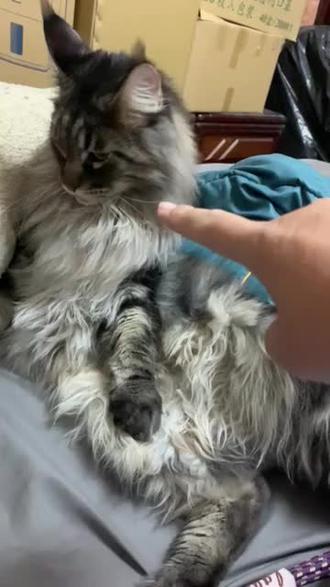 新疆实际面积148万平方公里 oIlfCtY0sB4IAAe9DA1QxObAzGAJgTbgIwDnDS~tplv-dy-resize-origshort-autoq-75:330.jpeg?biz_tag=pcweb_cover&from=3213915784&s=PackSourceEnum_AWEME_DETAIL&sc=cover&se=false&x-expires=2012389200&x-signature=fVikH8%2FA4jlMVafdCwUoMbflmA8%3D