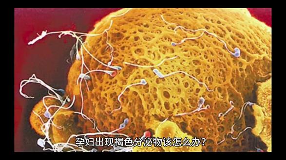 飞轮储能能储多久 oMB4AkiHu8wm6ApDIlDnb2beQnEKgKEiANezi9~tplv-dy-resize-origshort-autoq-75:330.jpeg?biz_tag=pcweb_cover&from=3213915784&s=PackSourceEnum_AWEME_DETAIL&sc=cover&se=false&x-expires=2011863600&x-signature=OIbqUIcXy0Zwm4BLo4%2B1BpkL7xc%3D