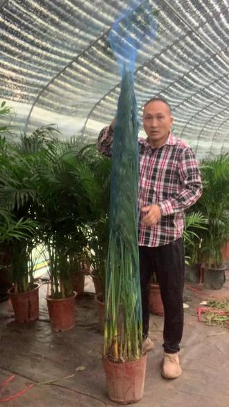 网站搭建公司哪家专业好 oMdfbAnC0aYAZ89al6ekNENAgI5XBugQYUM7Ds~tplv-dy-resize-origshort-autoq-75:330.jpeg?biz_tag=pcweb_cover&from=3213915784&s=PackSourceEnum_AWEME_DETAIL&sc=cover&se=false&x-expires=2010625200&x-signature=cRzOlpncldLsBaHI6wm83qe8540%3D