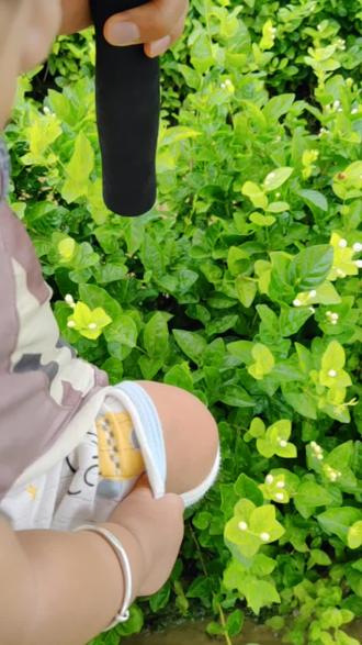 炒肉丝怎么切快 oMohvH2rEHMAN1lBuq5zNAQe8OAfBdQgMAZyII~tplv-dy-resize-origshort-autoq-75:330.jpeg?biz_tag=pcweb_cover&from=3213915784&s=PackSourceEnum_AWEME_DETAIL&sc=cover&se=false&x-expires=2012698800&x-signature=U5spCGwIiLe3VETbayXLcKGpxQE%3D