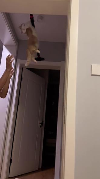 抖音定位标签有用嘛 oQDzNySlhsuAIMfgyQPA2DANzZNeBFAloEAYxU~tplv-dy-resize-origshort-autoq-75:330.jpeg?biz_tag=pcweb_cover&from=3213915784&s=PackSourceEnum_AWEME_DETAIL&sc=cover&se=false&x-expires=2012482800&x-signature=%2FdlmMRWhBLFKrGqqi6HYMIJ41Nw%3D