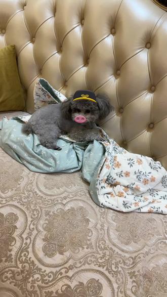 自贴防水卷材价格表 oQMrmU91zIUkIKJ0AVfCN2eHbBtayGAEhSg8Ah~tplv-dy-resize-origshort-autoq-75:330.jpeg?biz_tag=pcweb_cover&from=3213915784&s=PackSourceEnum_AWEME_DETAIL&sc=cover&se=false&x-expires=2010564000&x-signature=VOWMo%2BLGIcnQumSVHiM0KBWUzDI%3D