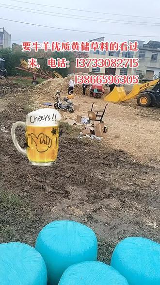 蜂巢蜜怎么处理好 oQhAHBhy5Fzjehgy9uD8fGOANONCUyIAX0EcDv~tplv-dy-resize-origshort-autoq-75:330.jpeg?biz_tag=pcweb_cover&from=3213915784&s=PackSourceEnum_AWEME_DETAIL&sc=cover&se=false&x-expires=2011582800&x-signature=loUs%2F%2BmKDVwT40gyxNd8GGhOI2g%3D