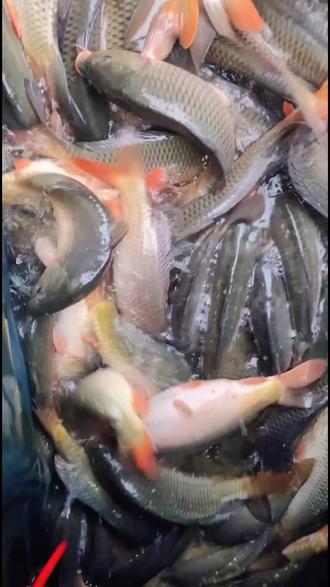 民法典对物业管理的规定283条 oUVU9lNtC4WDAHXsAAQPwO6bPFfgs8InDfDBig~tplv-dy-resize-origshort-autoq-75:330.jpeg?biz_tag=pcweb_cover&from=3213915784&s=PackSourceEnum_AWEME_DETAIL&sc=cover&se=false&x-expires=2011982400&x-signature=wAh6BGrnagfPP7Kv4ti9vIo2Rq0%3D