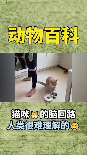 最简单的画画图片教程 oYLHZ1rhs5Epe3jkA1BI9lVfWtrNHGADAzFBgn~tplv-dy-resize-origshort-autoq-75:330.jpeg?biz_tag=pcweb_cover&from=3213915784&s=PackSourceEnum_AWEME_DETAIL&sc=cover&se=false&x-expires=2009260800&x-signature=lWrw%2BqX%2FtA85scDFmc0NTR%2Fd2kI%3D