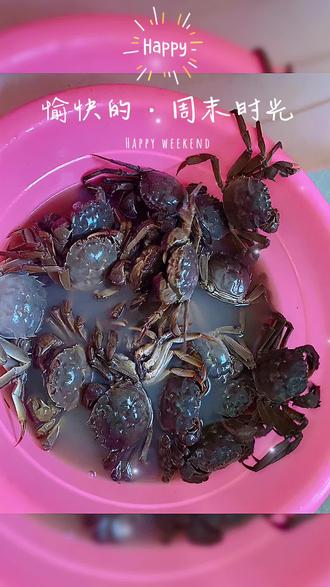 今日新闻直播间 oYc2PHAYEeUCGDDxIEdhf04vfdTvQC2Q20Abce~tplv-dy-resize-origshort-autoq-75:330.jpeg?biz_tag=pcweb_cover&from=3213915784&s=PackSourceEnum_AWEME_DETAIL&sc=cover&se=false&x-expires=2011795200&x-signature=BJ6eHGhWV%2BOaG2CTQ%2B62qrl4%2BHc%3D